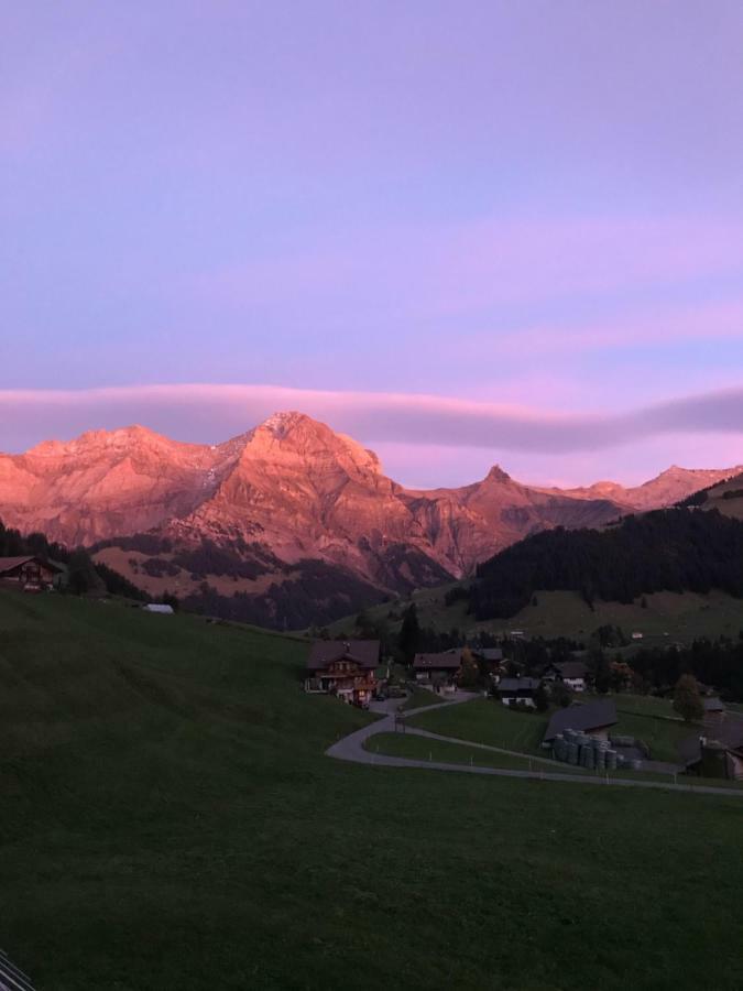 Abelied Hotell Adelboden Eksteriør bilde