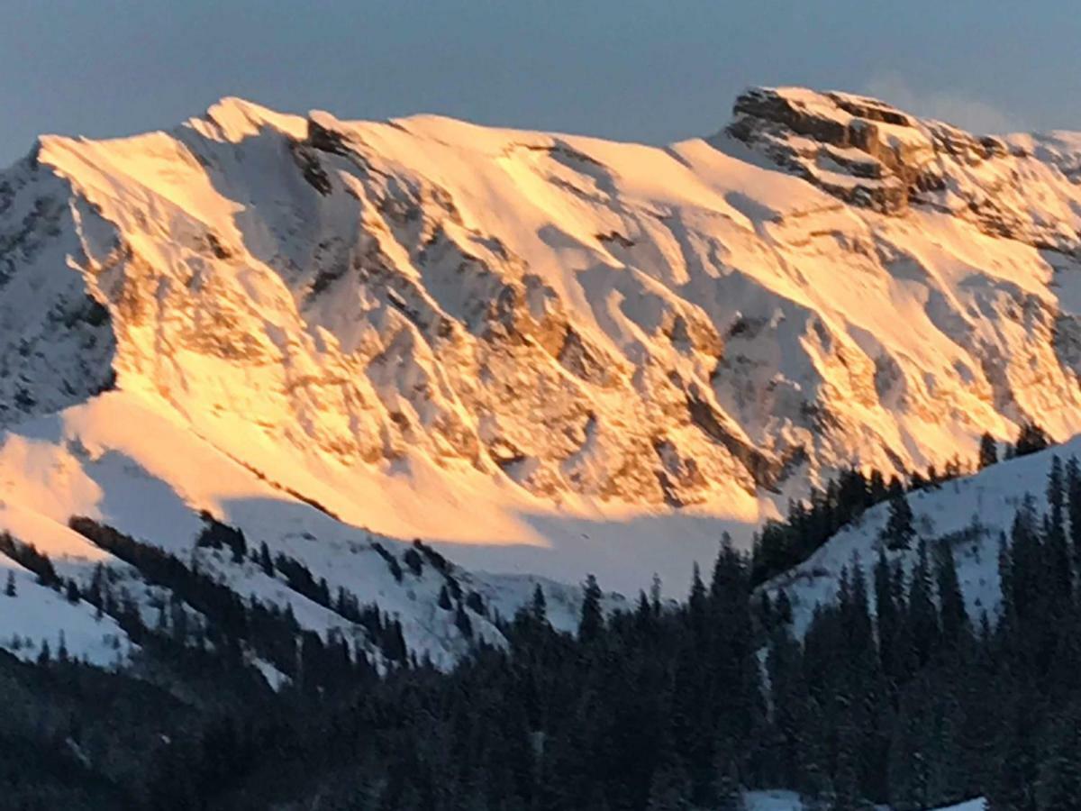 Abelied Hotell Adelboden Eksteriør bilde